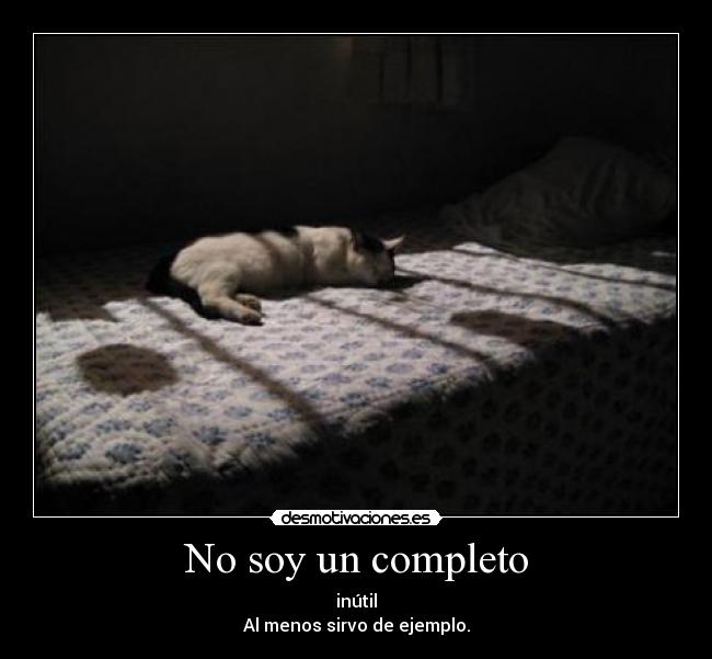 No soy un completo -