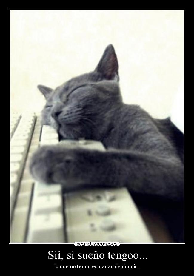 Sii, si sueño tengoo... - lo que no tengo es ganas de dormir...