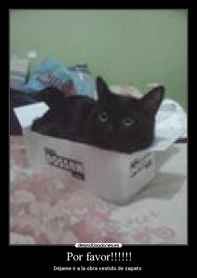 Por favor!!!!!! - Déjame ir a la obra vestido de zapato  