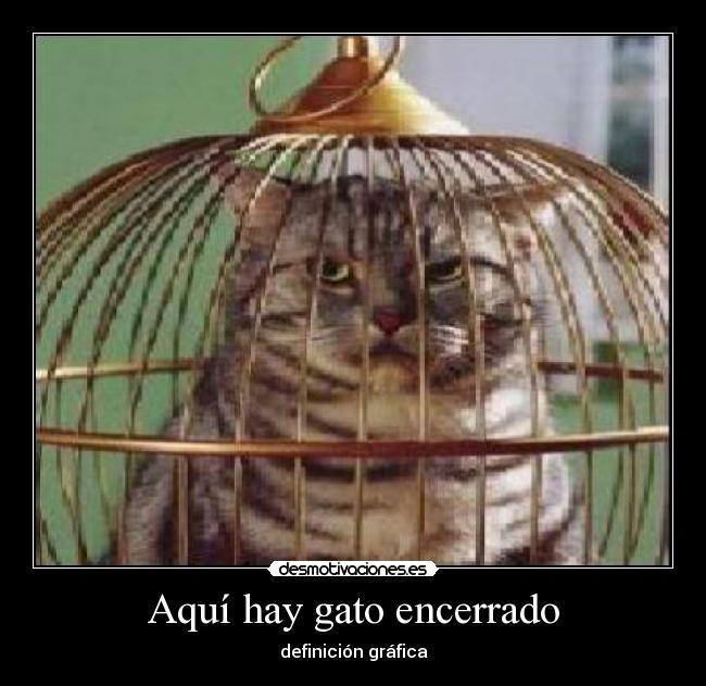 Aquí hay gato encerrado - 