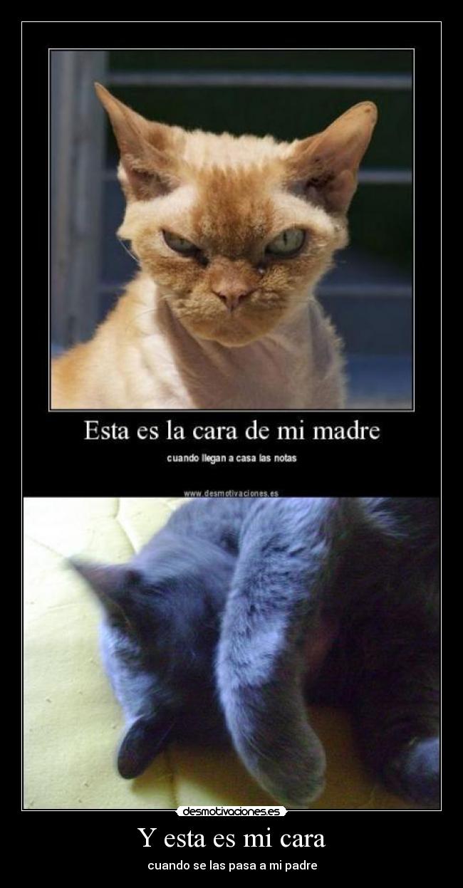 Y esta es mi cara - 
