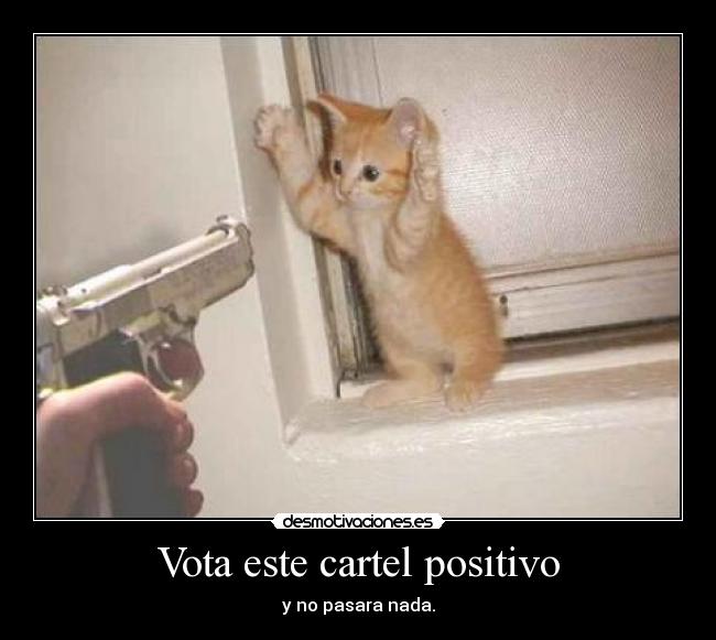 carteles gatosdesmotivaciones pistolas desmotivaciones