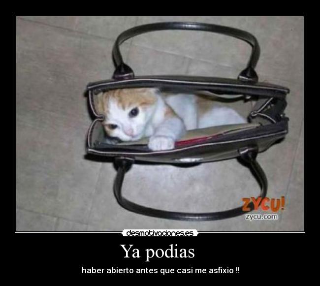 Ya podias - haber abierto antes que casi me asfixio !!