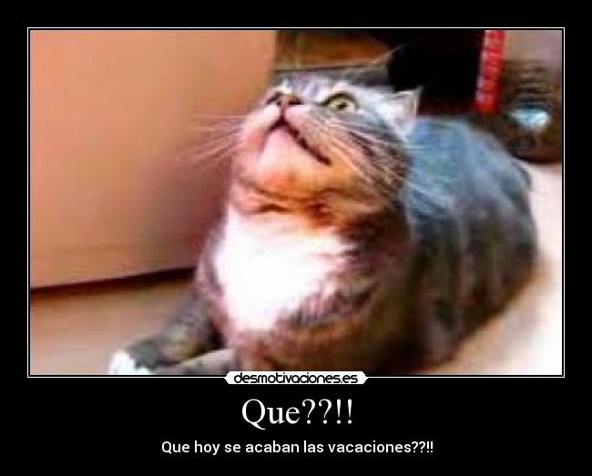 Que??!! - Que hoy se acaban las vacaciones??!!