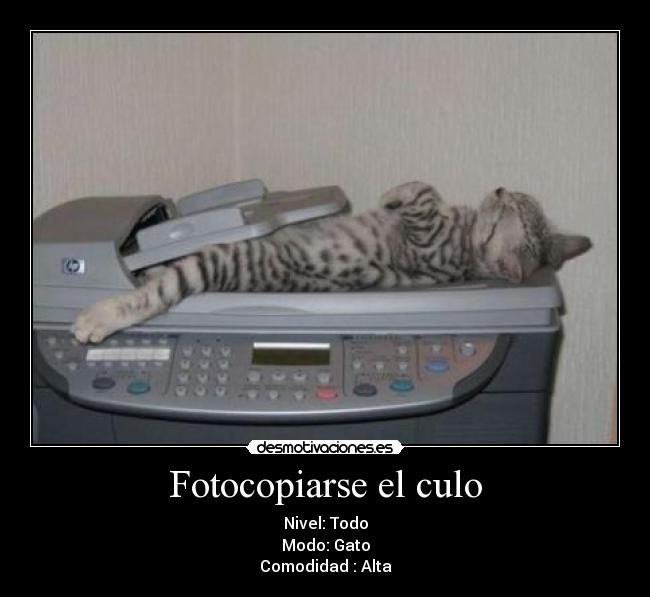 Fotocopiarse el culo -