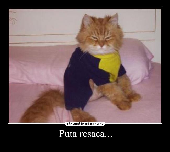 Puta resaca... - 