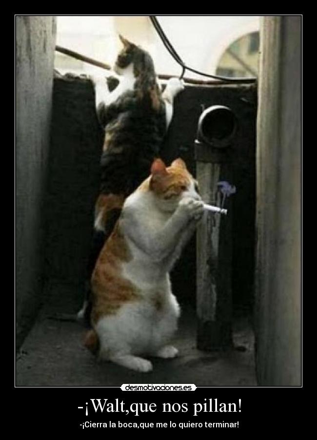 -¡Walt,que nos pillan! -