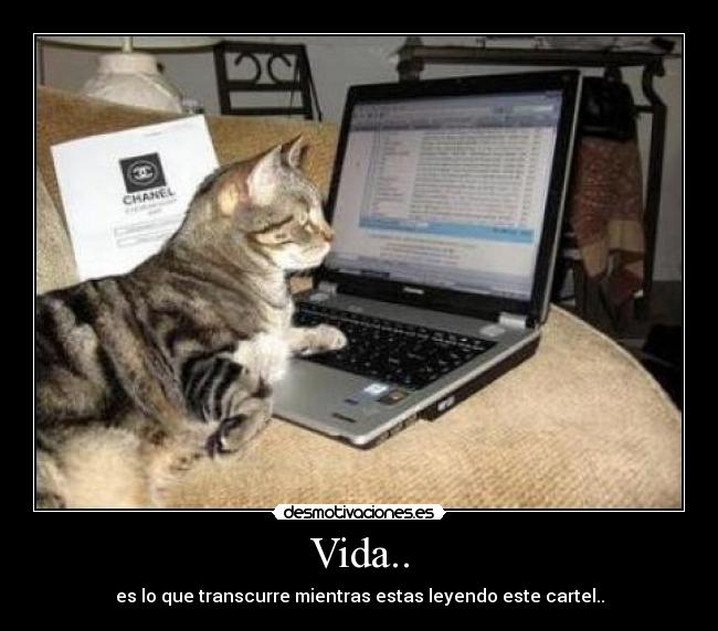 Vida.. - es lo que transcurre mientras estas leyendo este cartel..