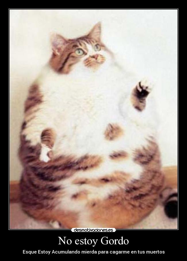 No estoy Gordo - 
