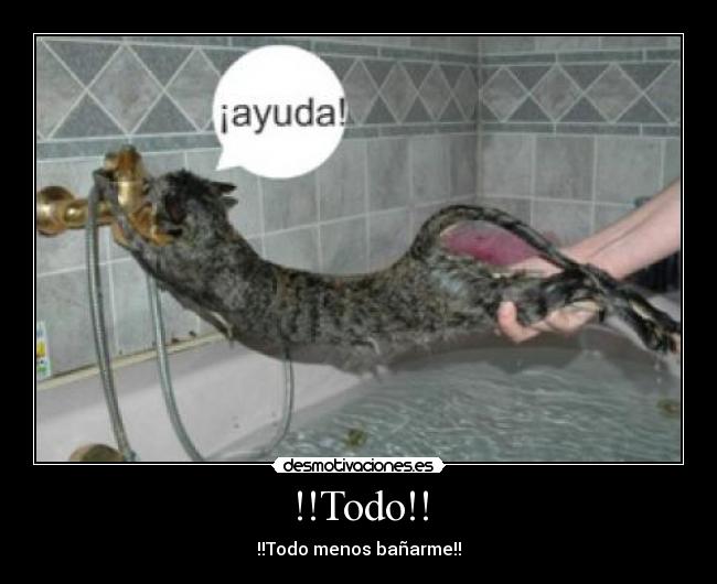 !!Todo!! - !!Todo menos bañarme!!