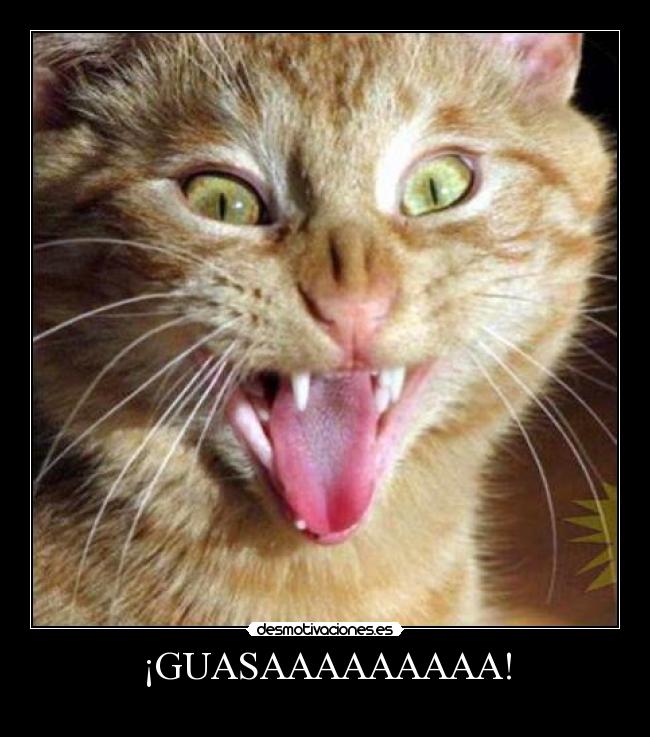 ¡GUASAAAAAAAAA! - 