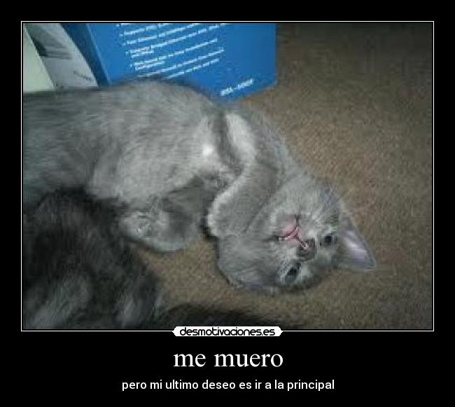 me muero - pero mi ultimo deseo es ir a la principal