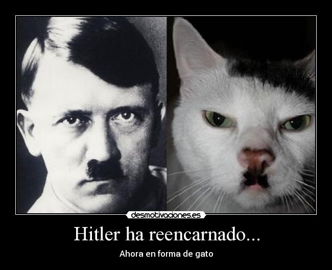 Hitler ha reencarnado... - 