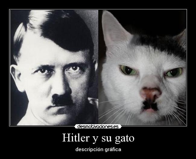 carteles edu desmotivaciones