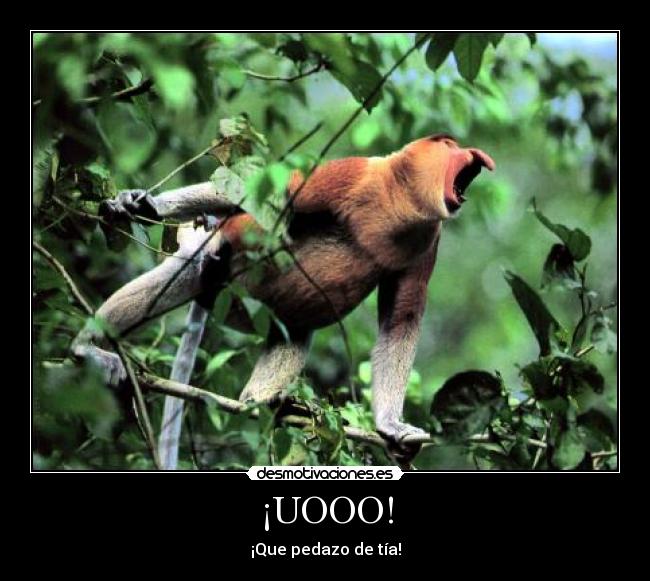 ¡UOOO! -
