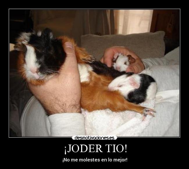 ¡JODER TIO! - ¡No me molestes en lo mejor!