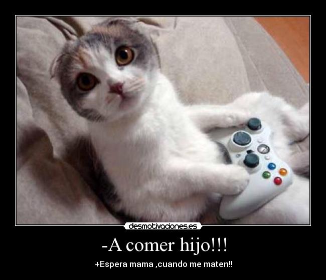 -A comer hijo!!! - 