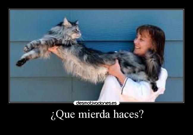 ¿Que mierda haces? - 