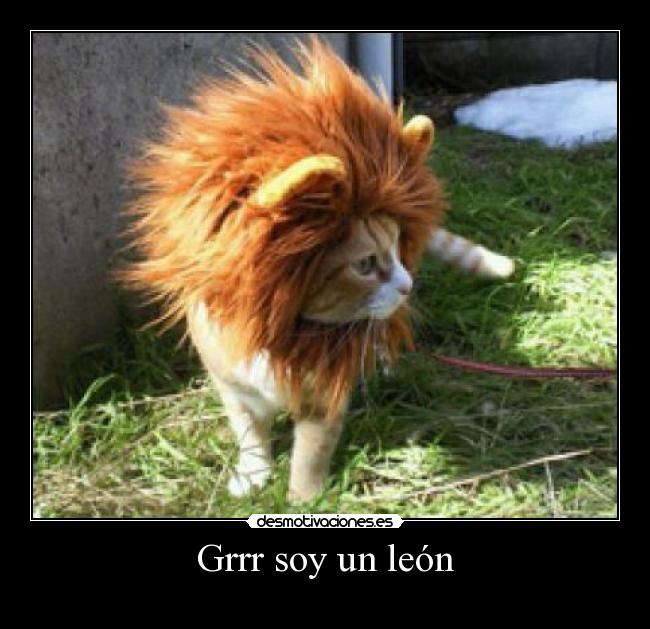 carteles grrr desmotivaciones