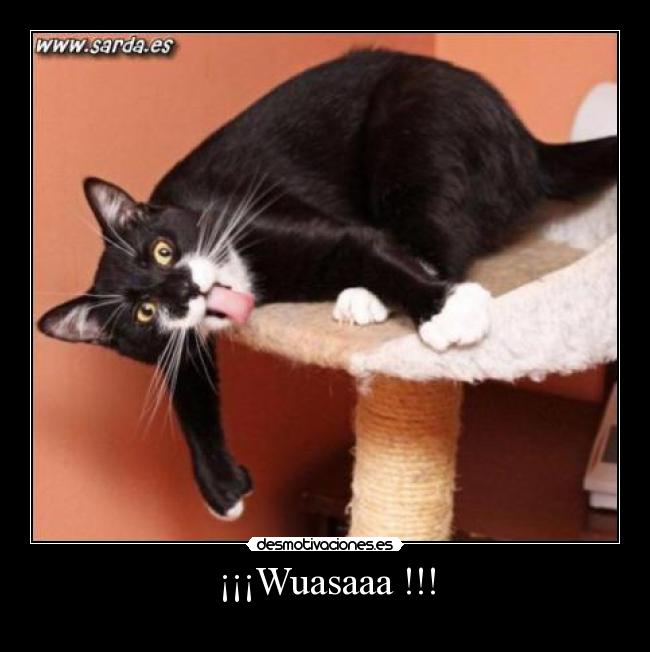 ¡¡¡Wuasaaa !!! -