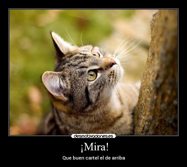 ¡Mira! -