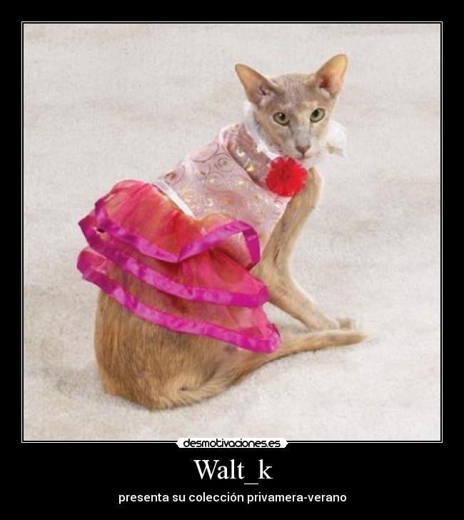 Walt_k - presenta su colección privamera-verano