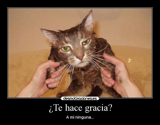 ¿Te hace gracia? - A mi ninguna...