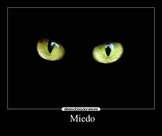  Miedo - 