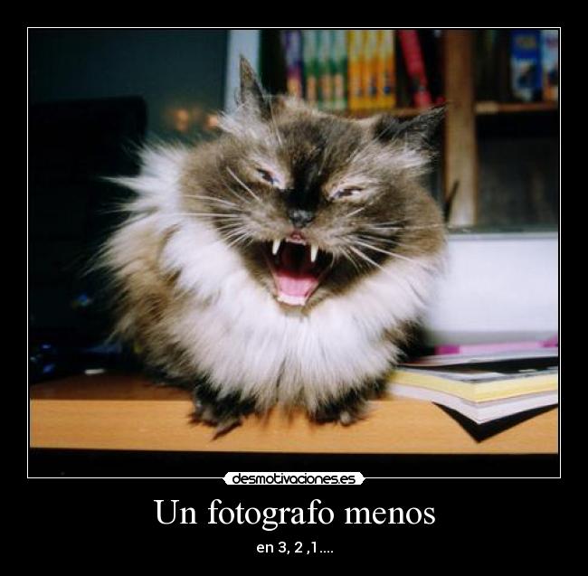 Un fotografo menos - en 3, 2 ,1....
