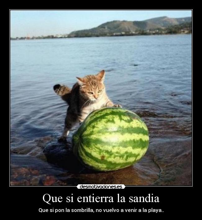 Que si entierra la sandia -