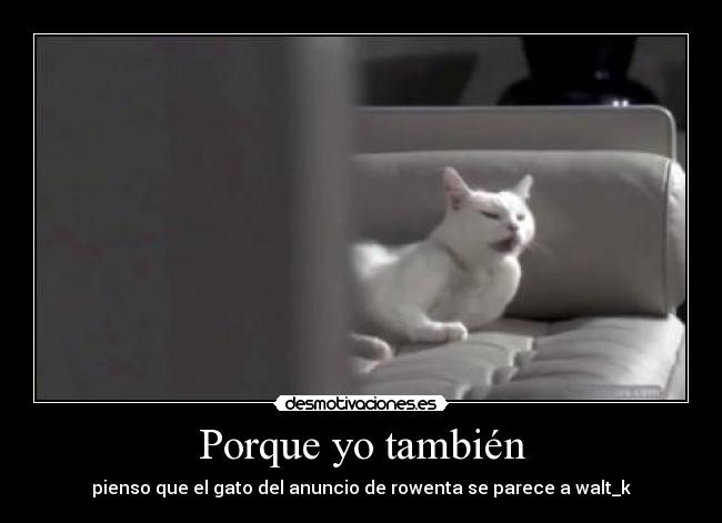 carteles gatos desmotivaciones