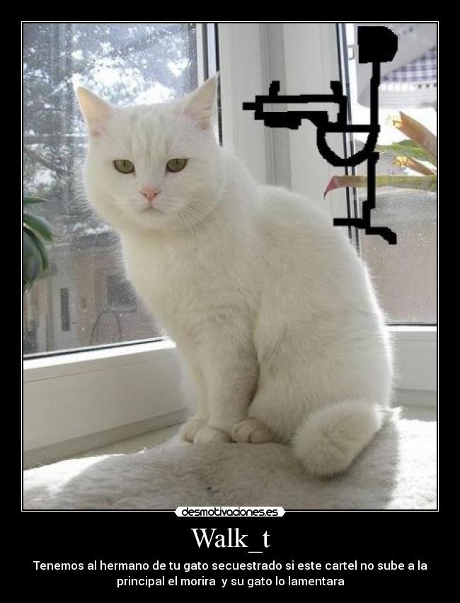 Walk_t - Tenemos al hermano de tu gato secuestrado si este cartel no sube a la
principal el morira y su gato lo lamentara