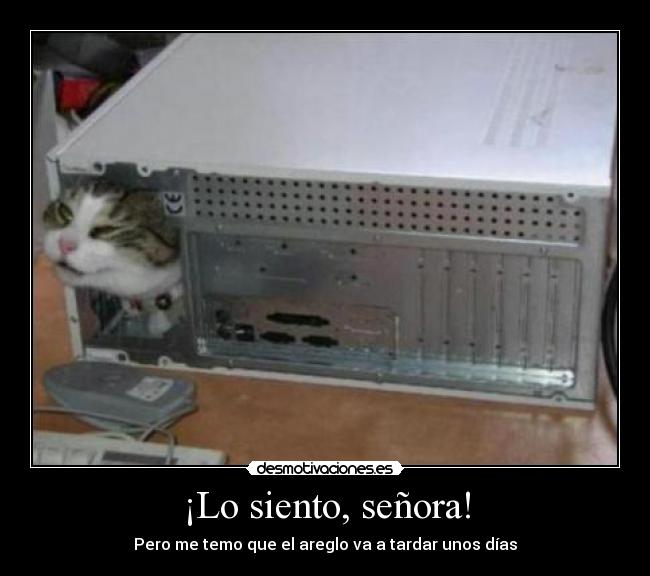 ¡Lo siento, señora! -