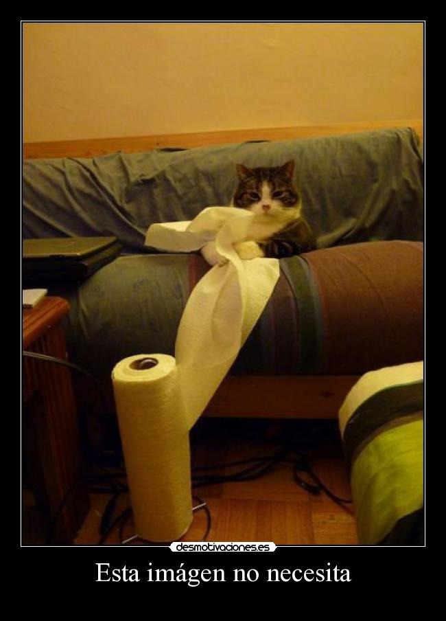 Esta imágen no necesita -