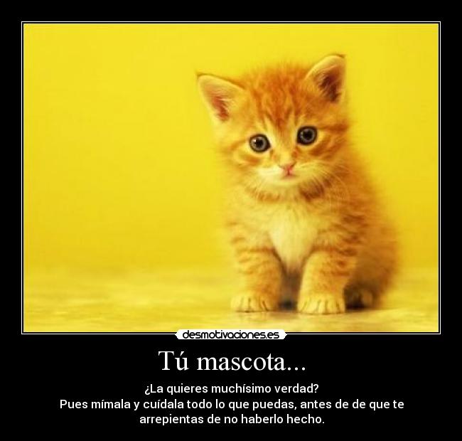 Tú mascota... - ¿La quieres muchísimo verdad?
Pues mímala y cuídala todo lo que puedas, antes de de que te
arrepientas de no haberlo hecho.