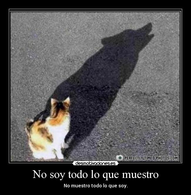No soy todo lo que muestro - No muestro todo lo que soy.
