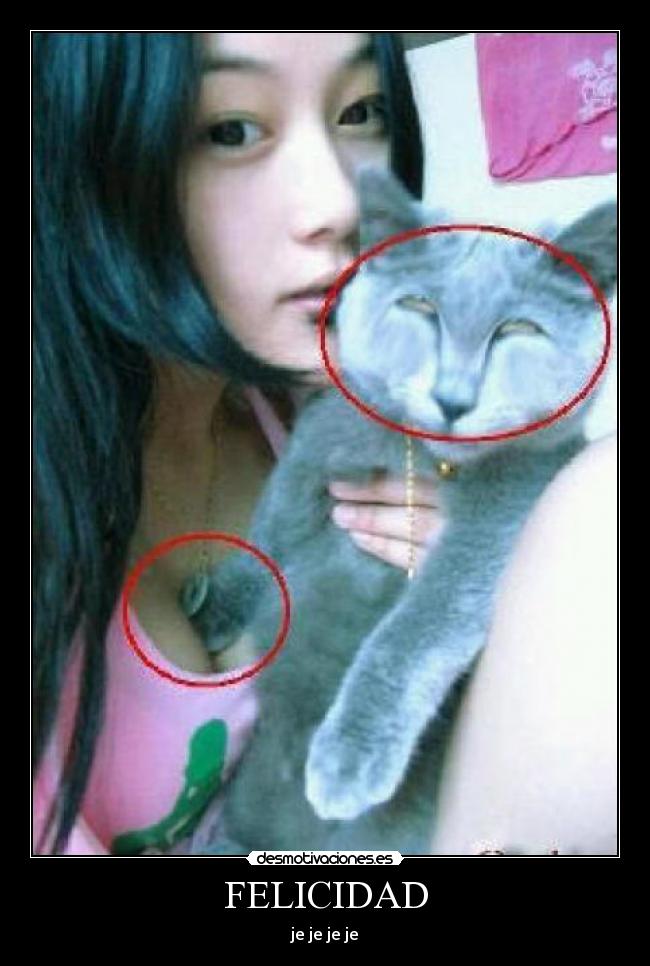 carteles felicidad felicidad desmotivaciones