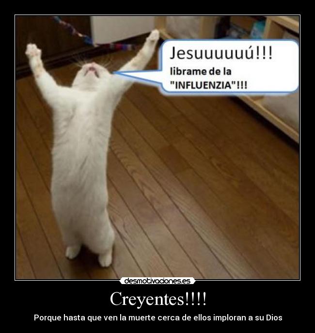 Creyentes!!!! - 