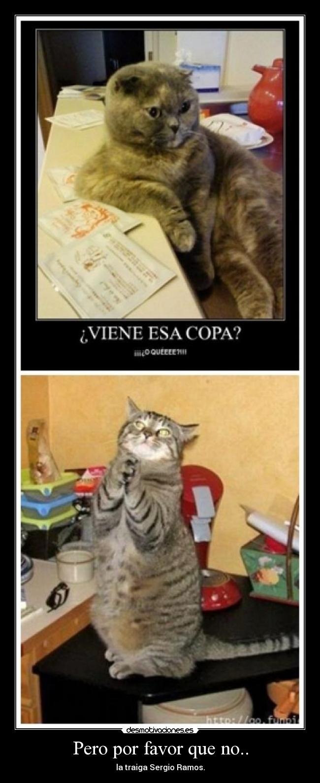 Pero por favor que no.. - la traiga Sergio Ramos.