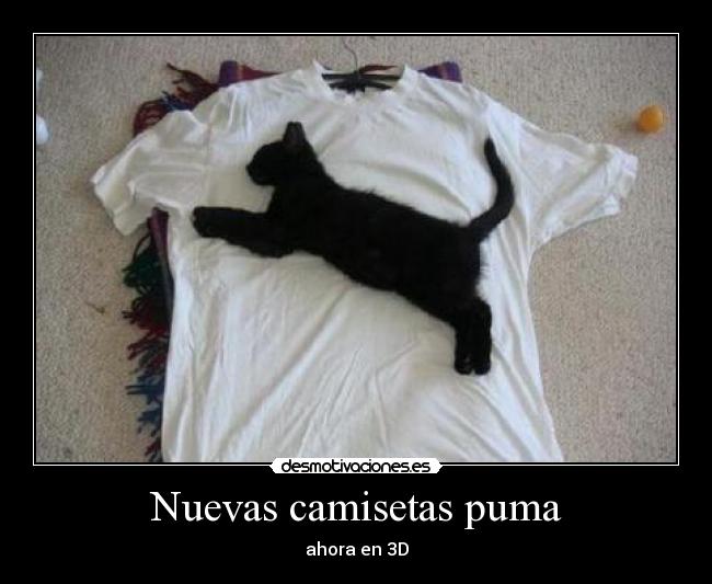 carteles las mejores camisetas desmotivaciones