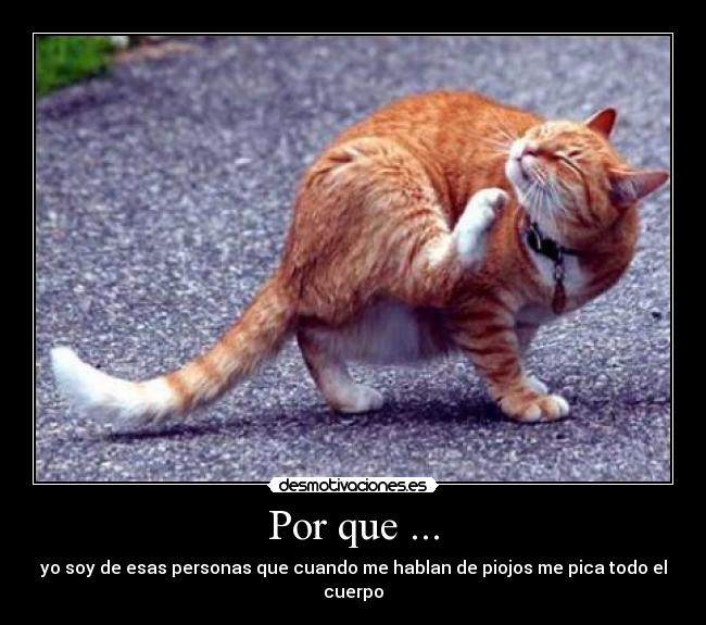 Por que ... -