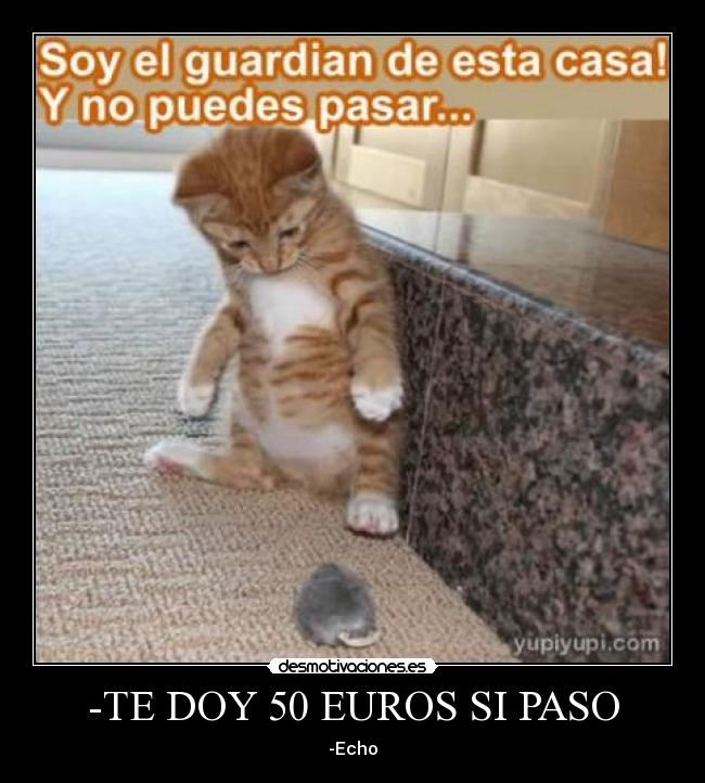 -TE DOY 50 EUROS SI PASO - -Echo