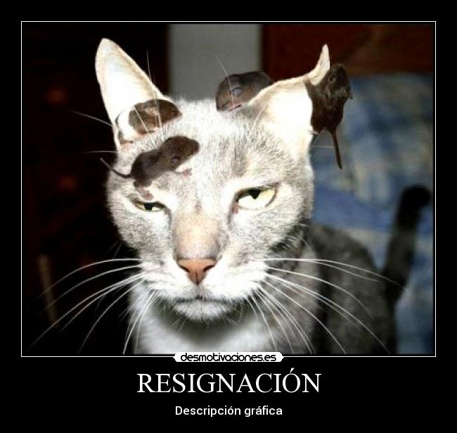 RESIGNACIÓN - Descripción gráfica