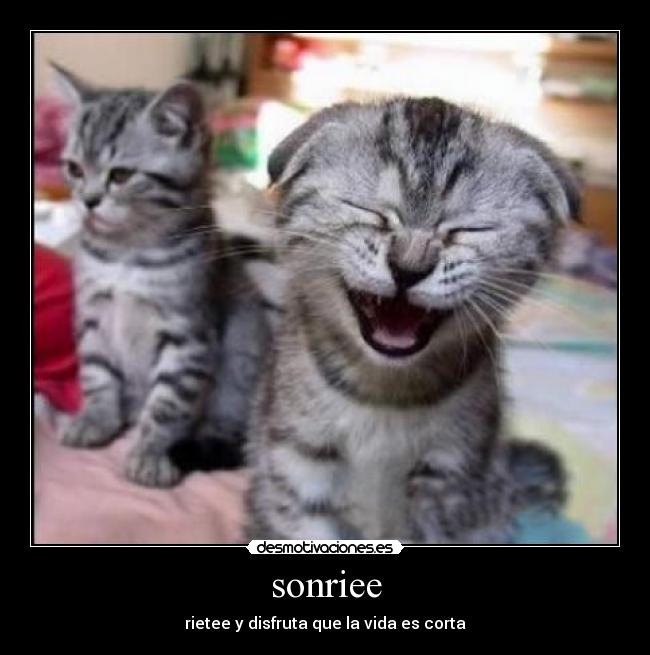 sonriee -