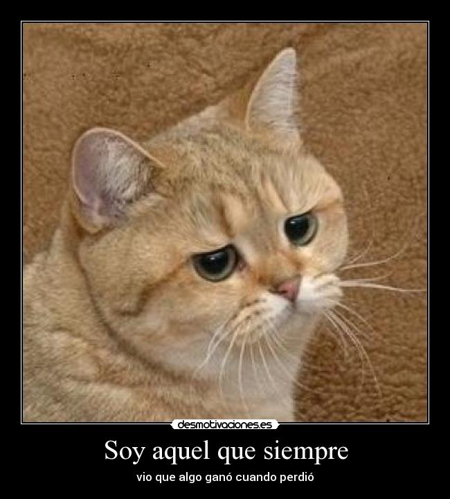 Soy aquel que siempre - vio que algo ganó cuando perdió