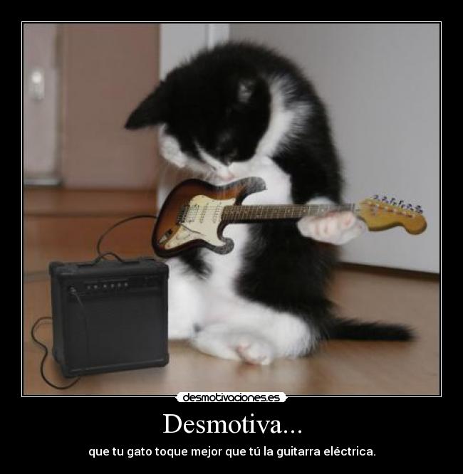 Desmotiva... - que tu gato toque mejor que tú la guitarra eléctrica.