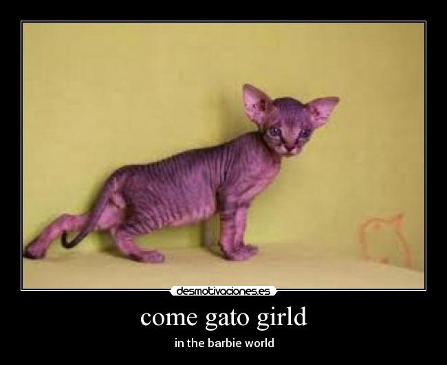 come gato girld - 