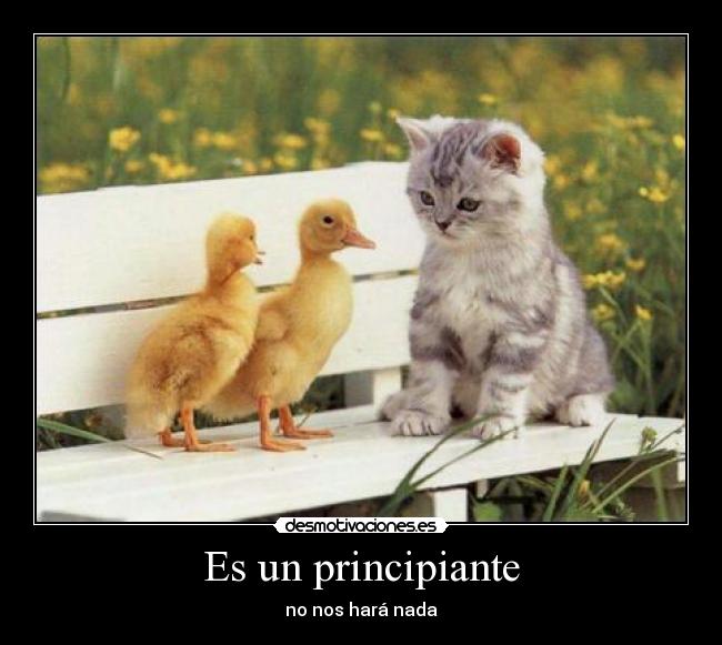 Es un principiante -