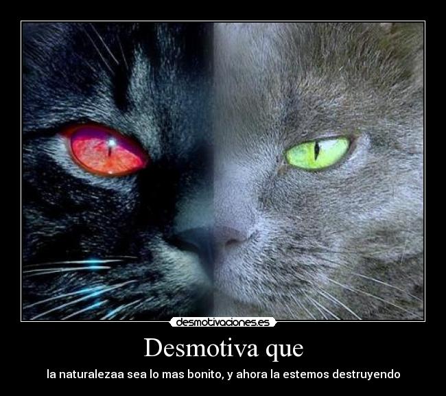 carteles fgch desmotivaciones