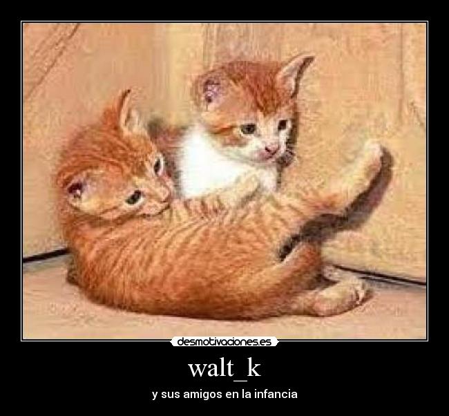 walt_k - 